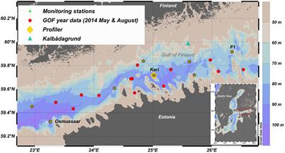 Assessment of Eutrophication Status Based on Sub-Surface Oxygen Conditions in the Gulf of Finland (Baltic Sea)